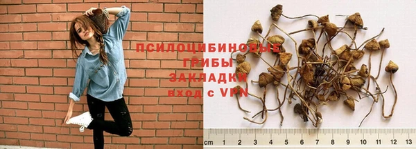 экстази Заволжск
