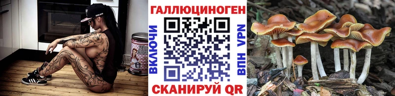 Галлюциногенные грибы Psilocybe  Купить  Задонск 